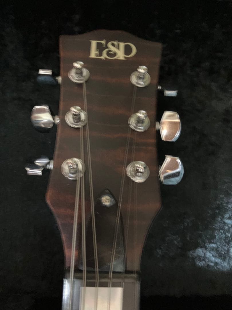 パニはげ ESP INORAN ILP-00 DRAGON