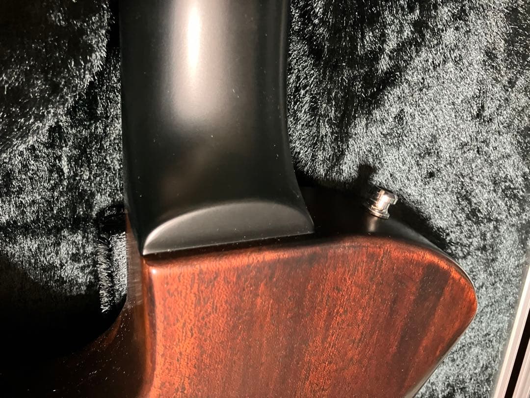 パニはげ ESP INORAN ILP-00 DRAGON