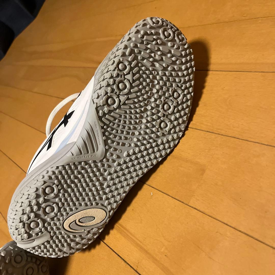 アシックス ゲルレゾリューション10 2E 25.5センチ