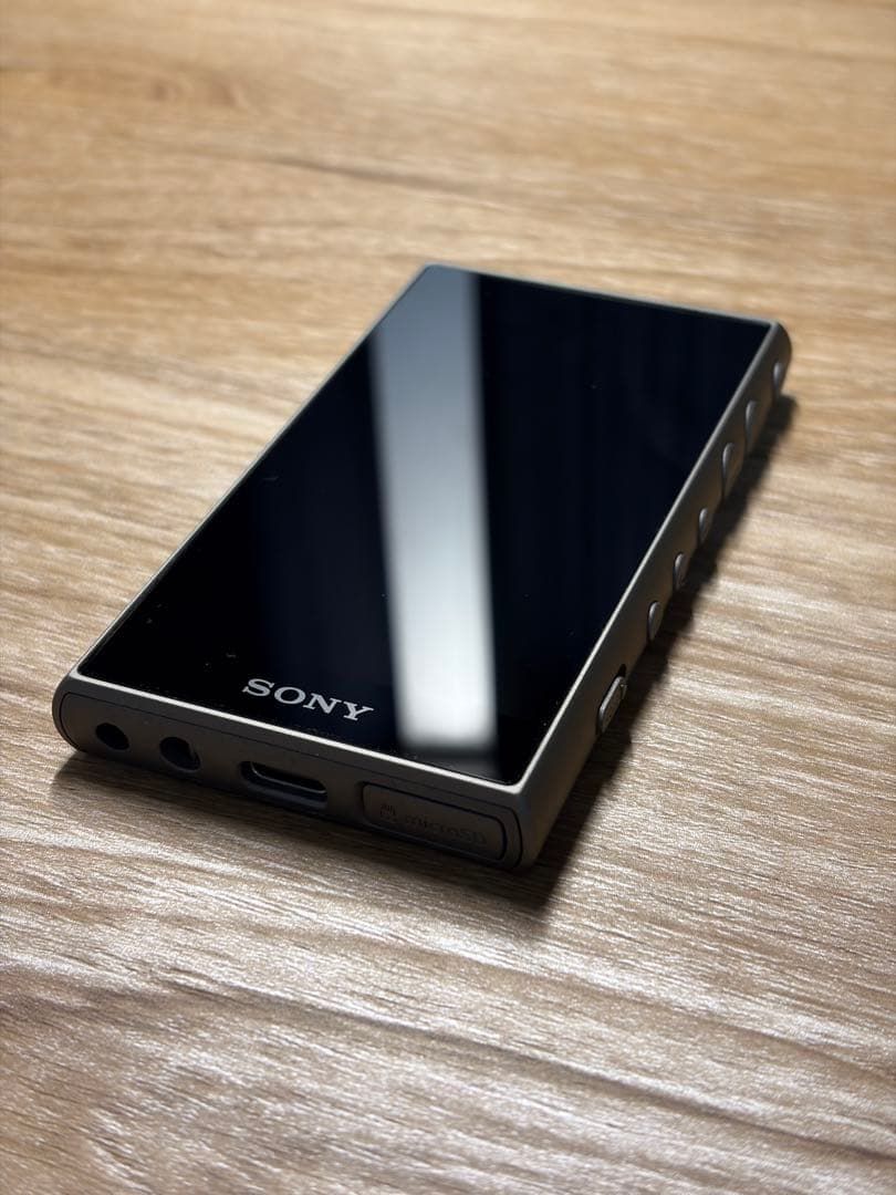 SONY ソニー WALKMAN（ウォークマン） NW-A105 / 16GB