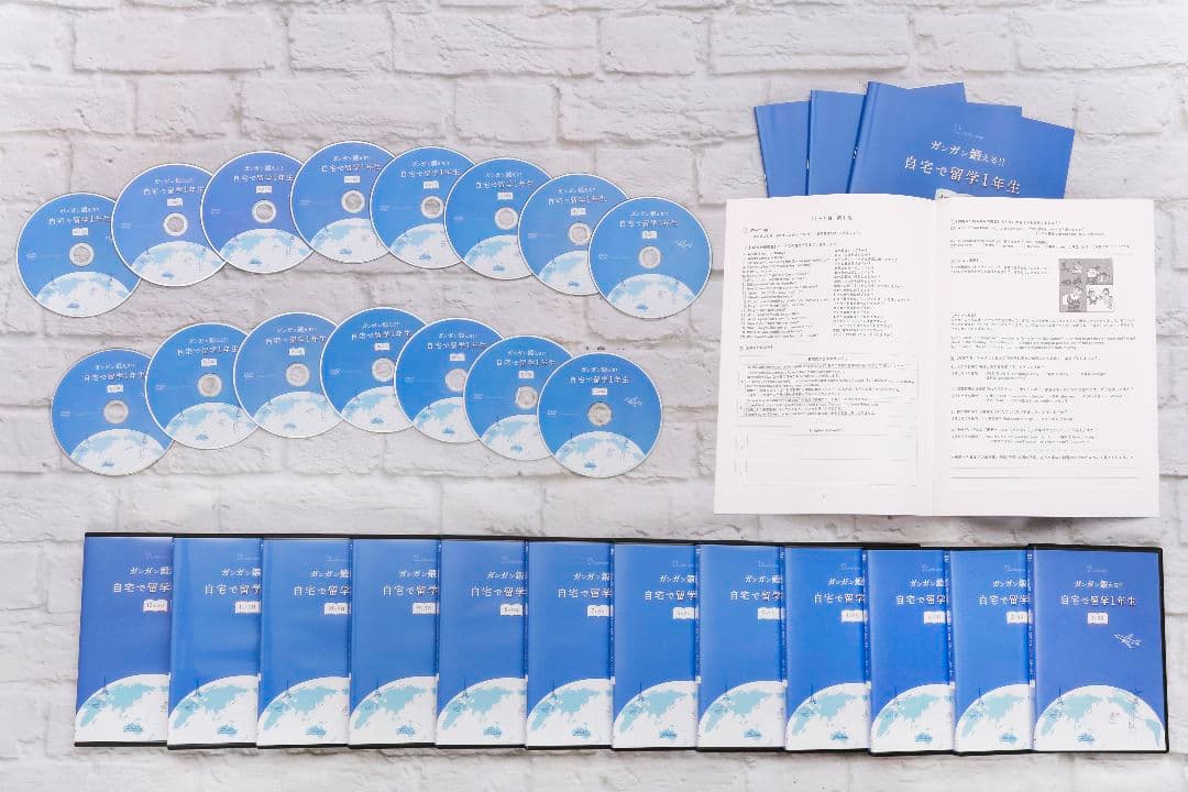 留学レベルの英会話力養成DVD 週1レッスン×1年間分 （メールサポート2