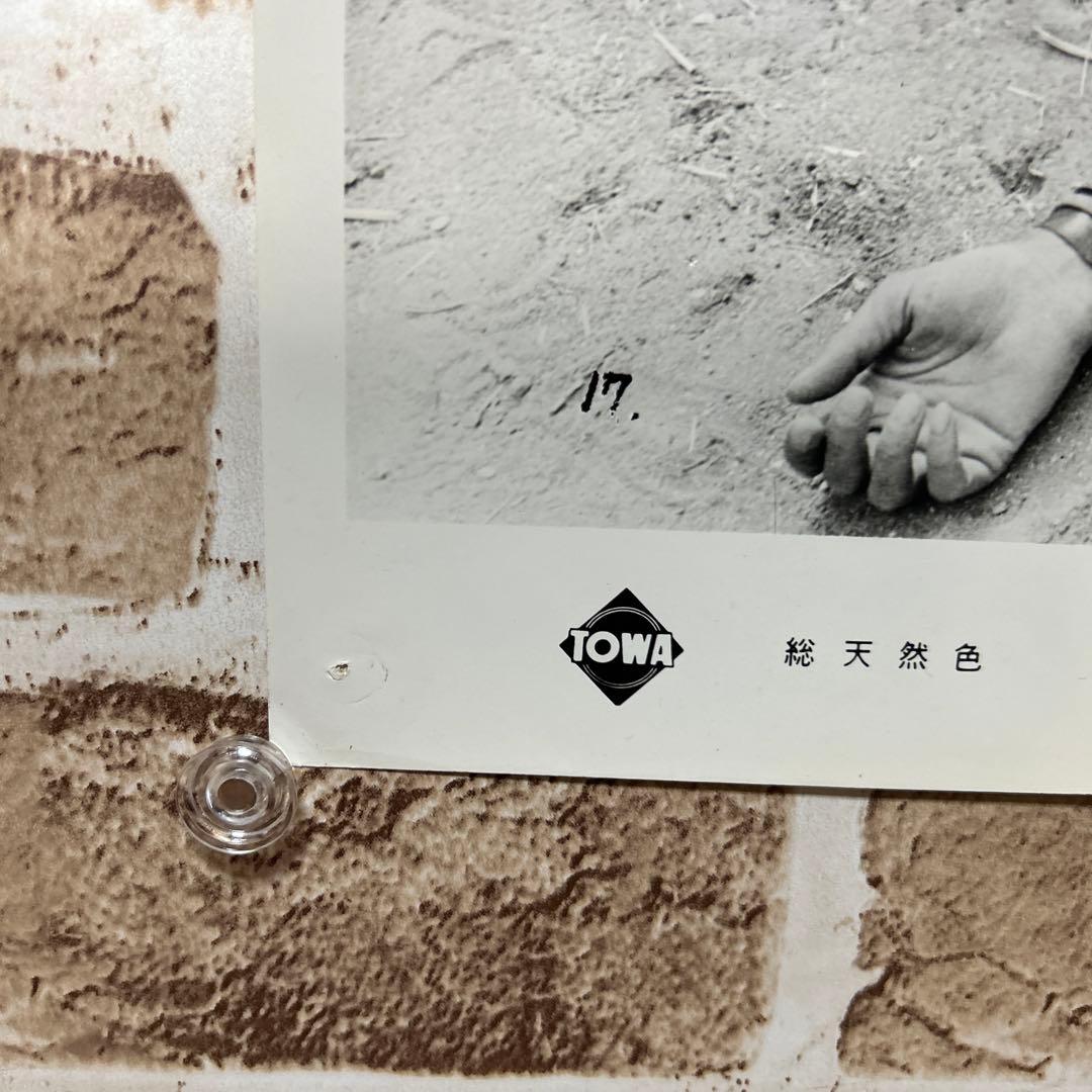 【稀少・非売品】五匹の用心棒 / 必殺の用心棒　スチール写真