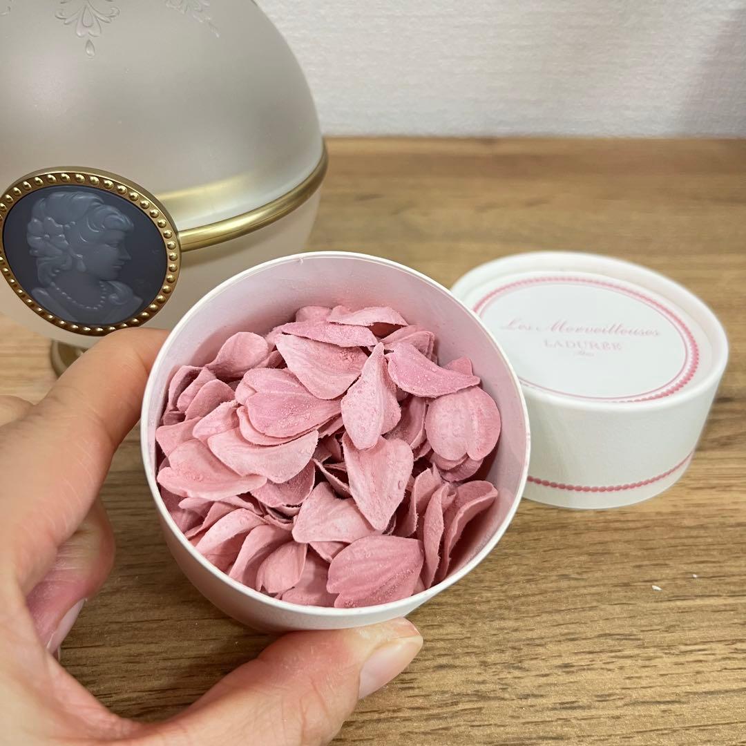 レメルヴェイユーズラデュレ ポット セット