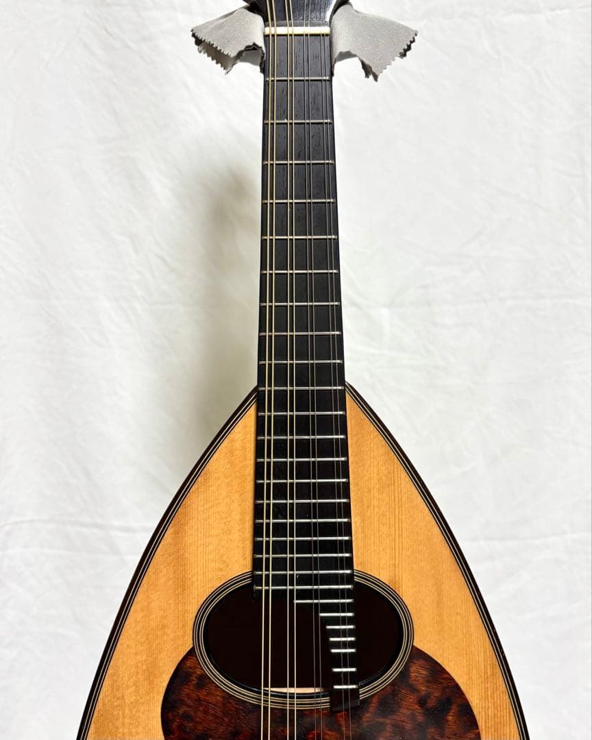 【新品弦張替済】SUZUKI マンドリン M-30 チューナー/ピック/ケース