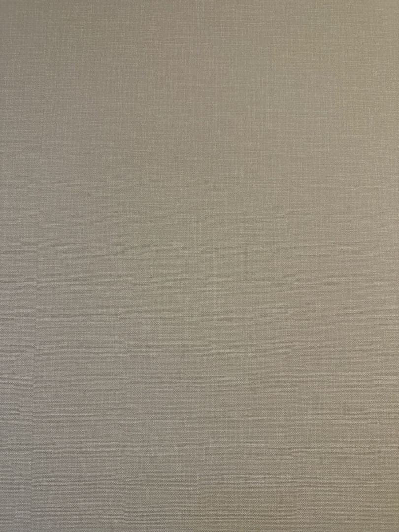 iPhone 14 Pro シルバー 256GB