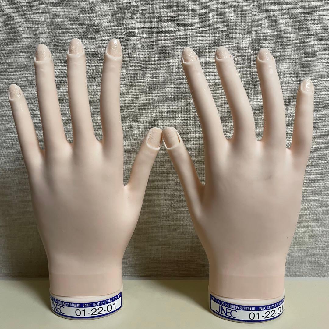 JNEC 認定モデルハンド　付属品、説明書付き