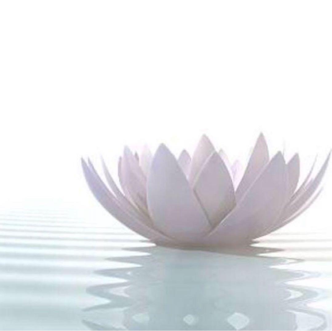 化粧水・ローション・トナー YUZU S