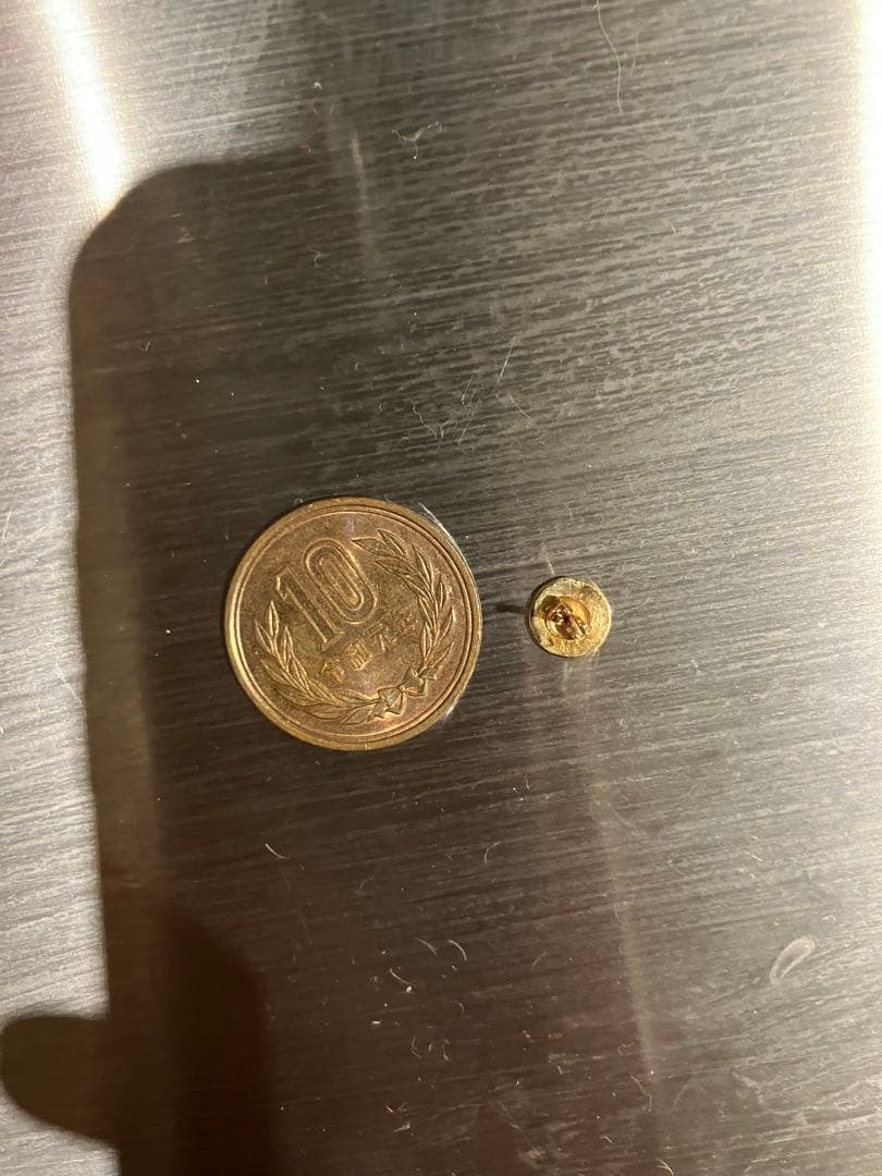 ARIZONA FREEDOM P-8d K18 ピアス