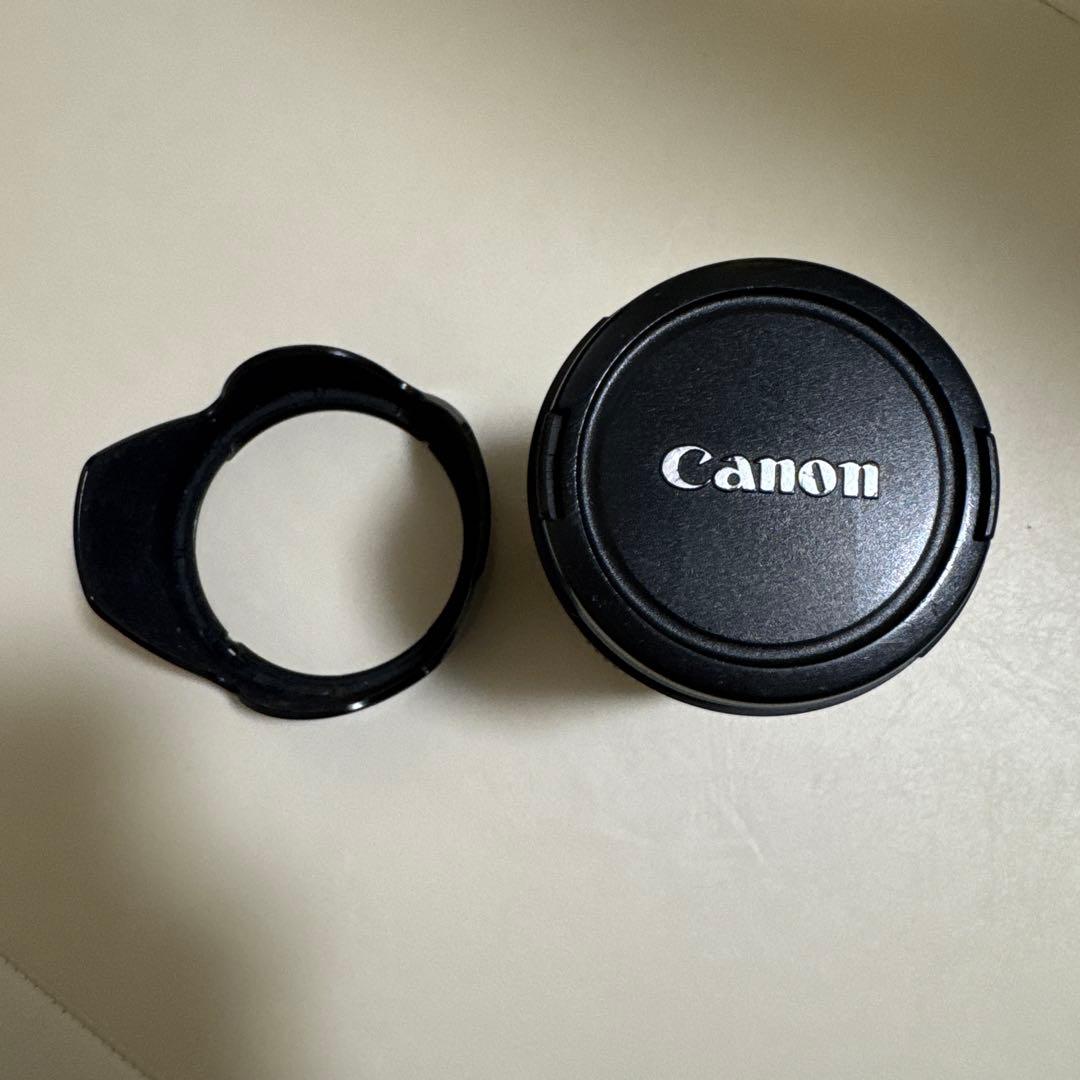 Canon EF-S 18-200mm レンズ