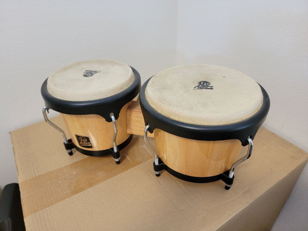 LP Aspire ボンゴ 太鼓 パーカッションの通販｜allitheybike.com