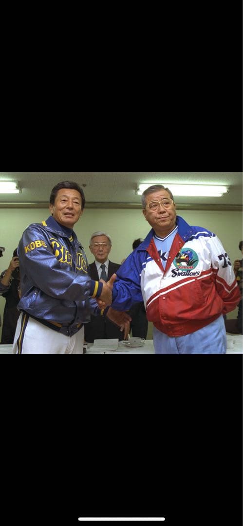 ヤクルトスワローズ公式スタジャン ナイロンジャケット DESCENTE製