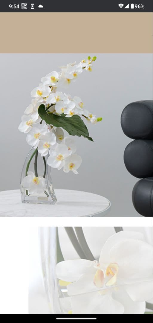 お値下げしました！【美品】エミリオロバ　 ファレノプシス　胡蝶蘭