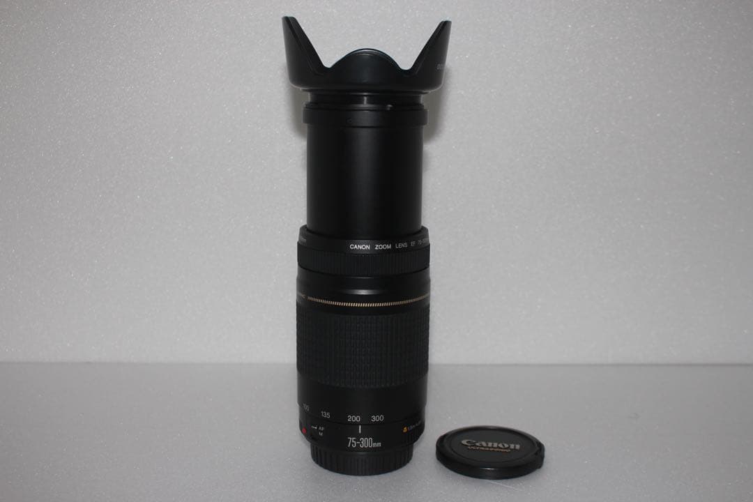 望遠レンズ/スポーツ/イベント等/Canon EF75-300㎜