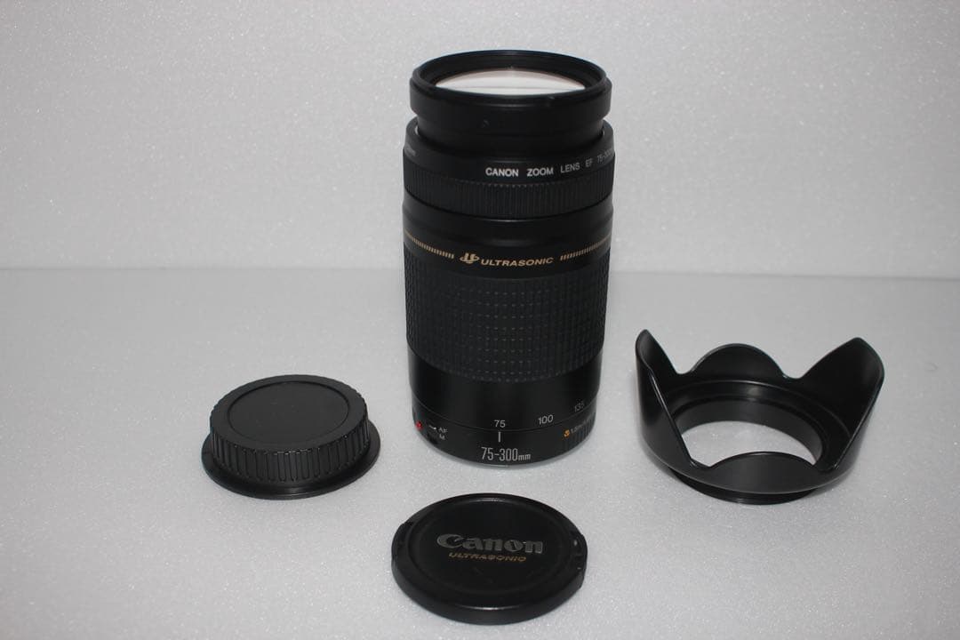 望遠レンズ/スポーツ/イベント等/Canon EF75-300㎜