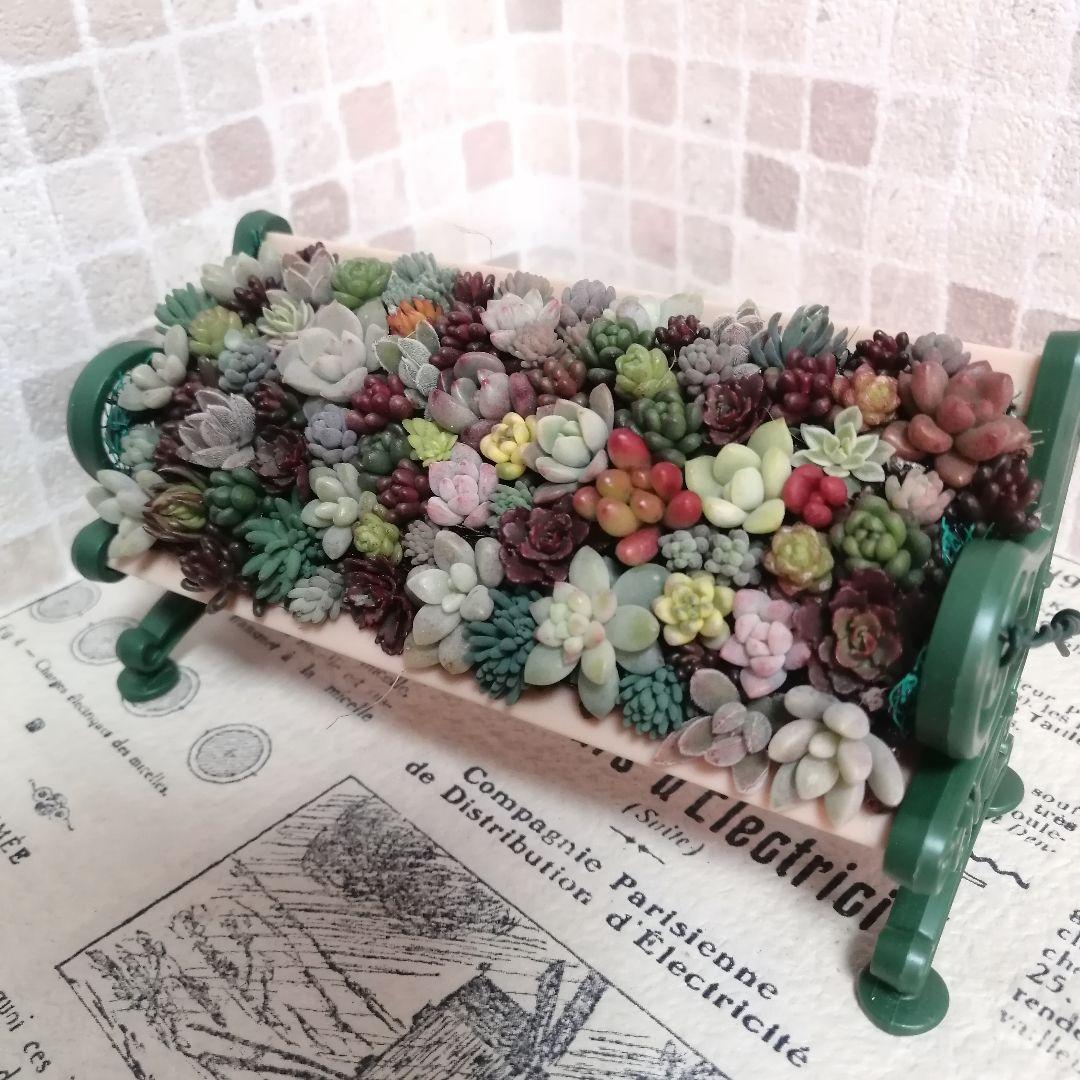 そのまま飾れる多肉植物の寄せ植え*ミニチュアベンチのチマチマ寄せ