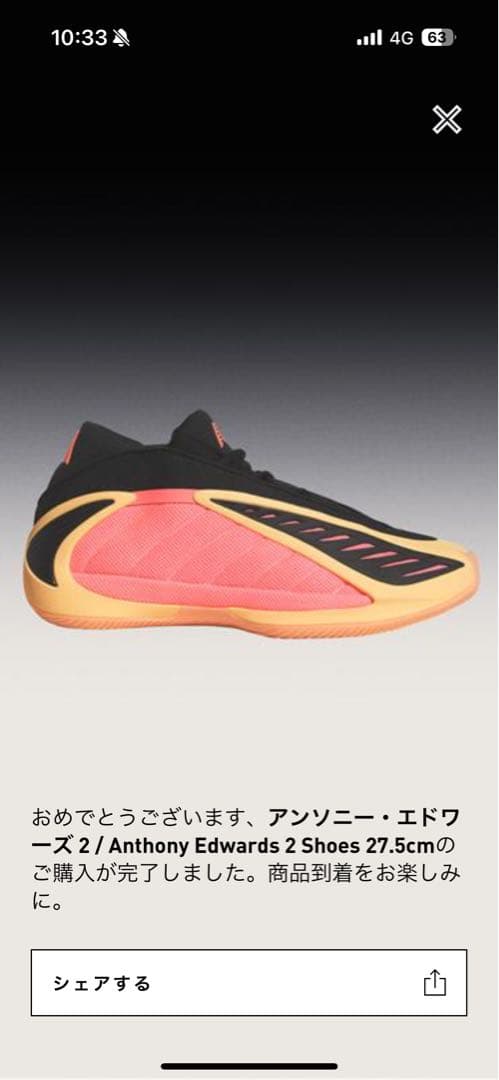 Anthony Edwards 2 シューズ 27.5cm