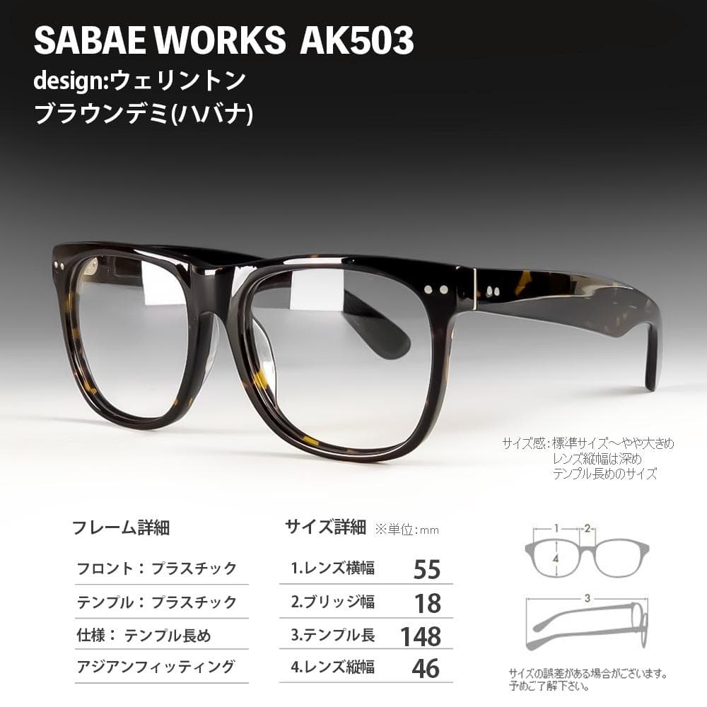 遠近両用メガネ (老眼 +1.00) 鯖江メガネ ヴィンテージ AK503 新品