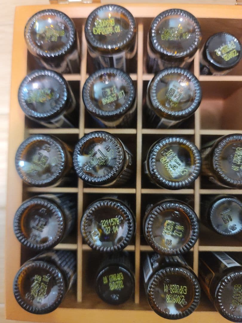 doTERRAアロマ木箱ケース付&森の音パステンタスロールオン&ローズロールオン