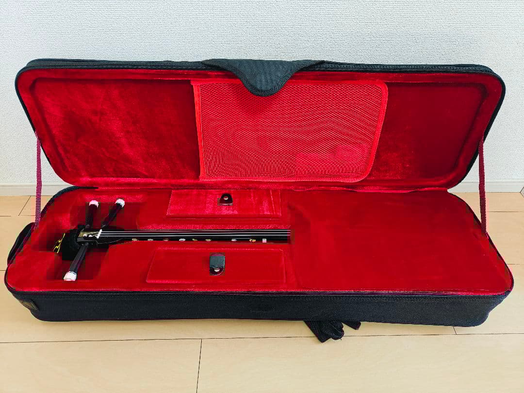 初心者向け 沖縄 三線 蛇皮模ハードケース 教本 チューナー他付属品有