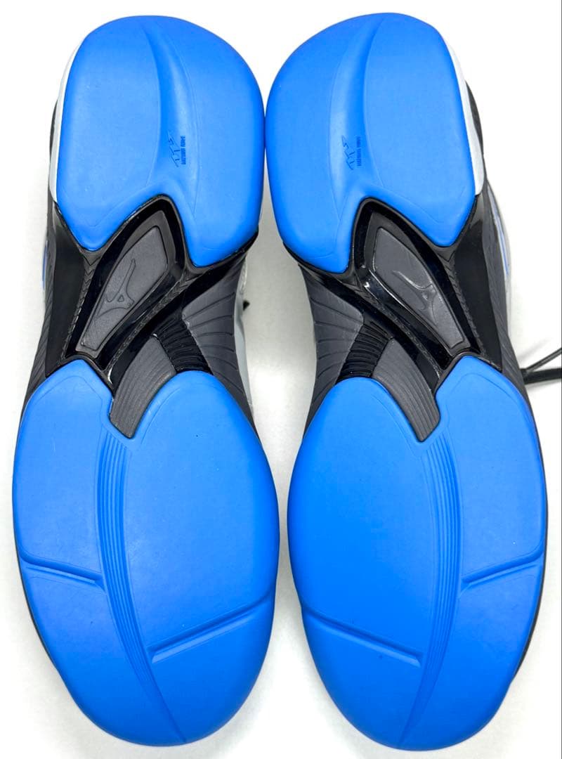 ミズノ 【カーペットコート】ウエーブエクシード5 WIDE CS 27.0cm