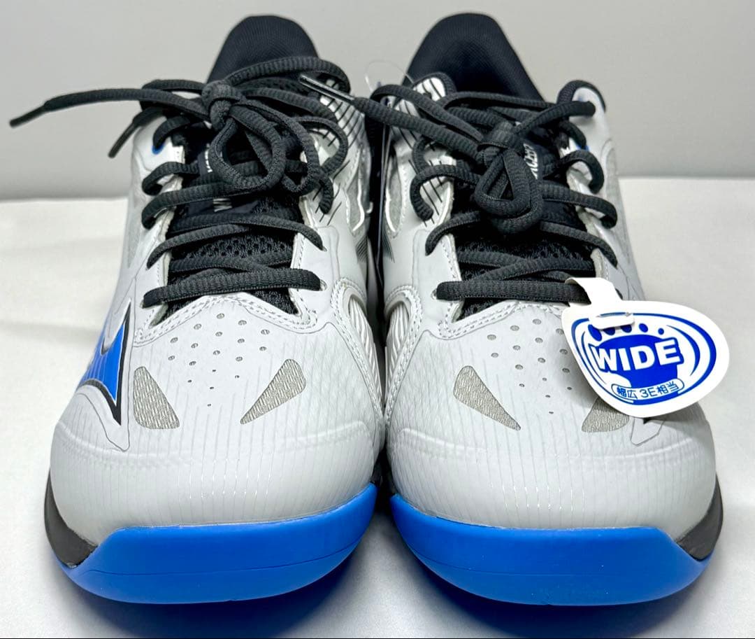 ミズノ 【カーペットコート】ウエーブエクシード5 WIDE CS 27.0cm