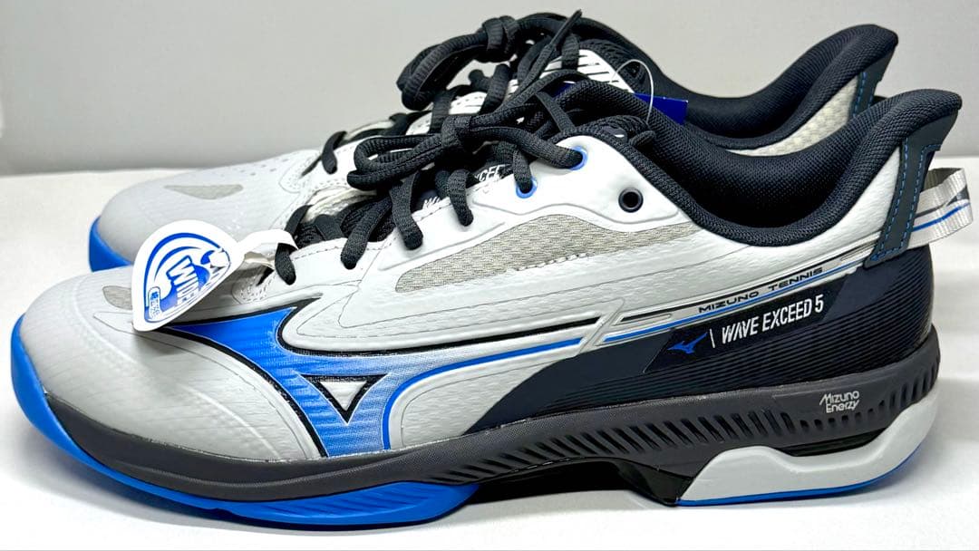 ミズノ 【カーペットコート】ウエーブエクシード5 WIDE CS 27.0cm