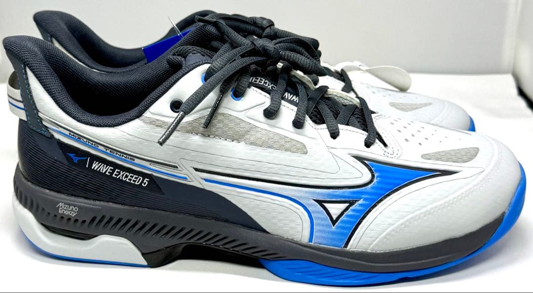 ミズノ 【カーペットコート】ウエーブエクシード5 WIDE CS 27.0cm