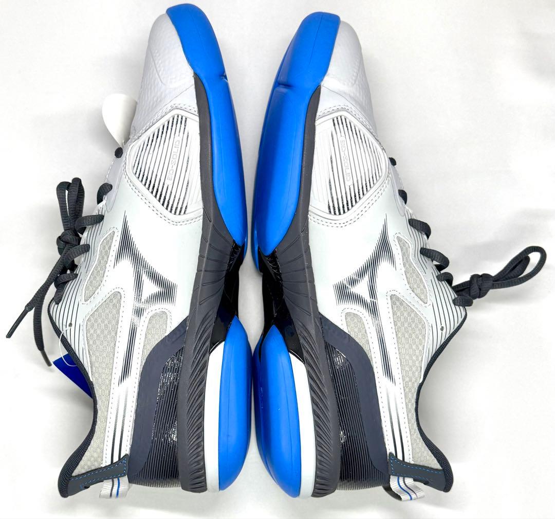 ミズノ 【カーペットコート】ウエーブエクシード5 WIDE CS 27.0cm