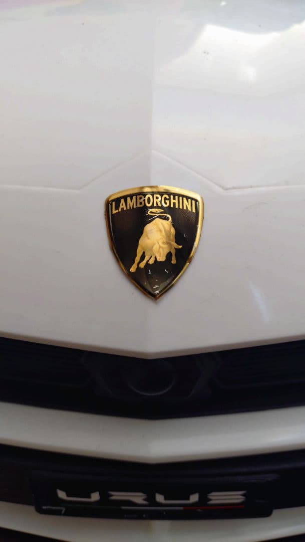 URUS ホワイト 電動乗用車 オープンカー　ランボルギーニ