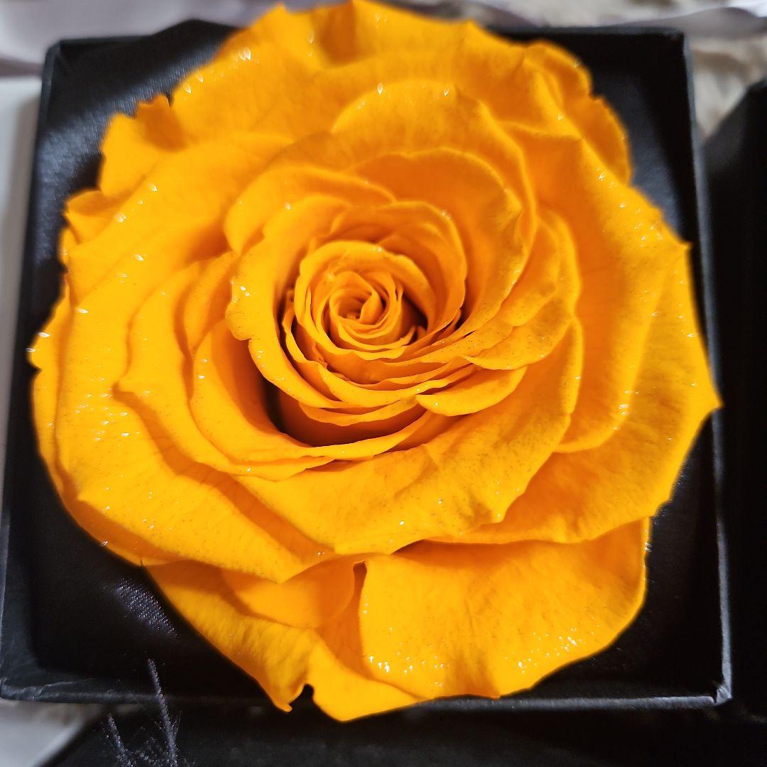 MAKE FUTURE プリザーブドフラワー