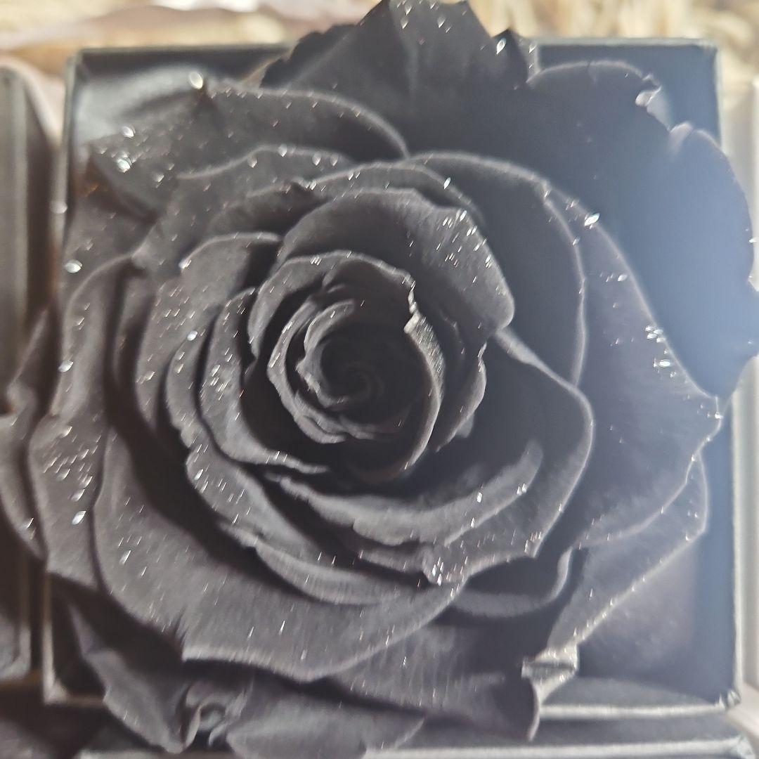 MAKE FUTURE プリザーブドフラワー