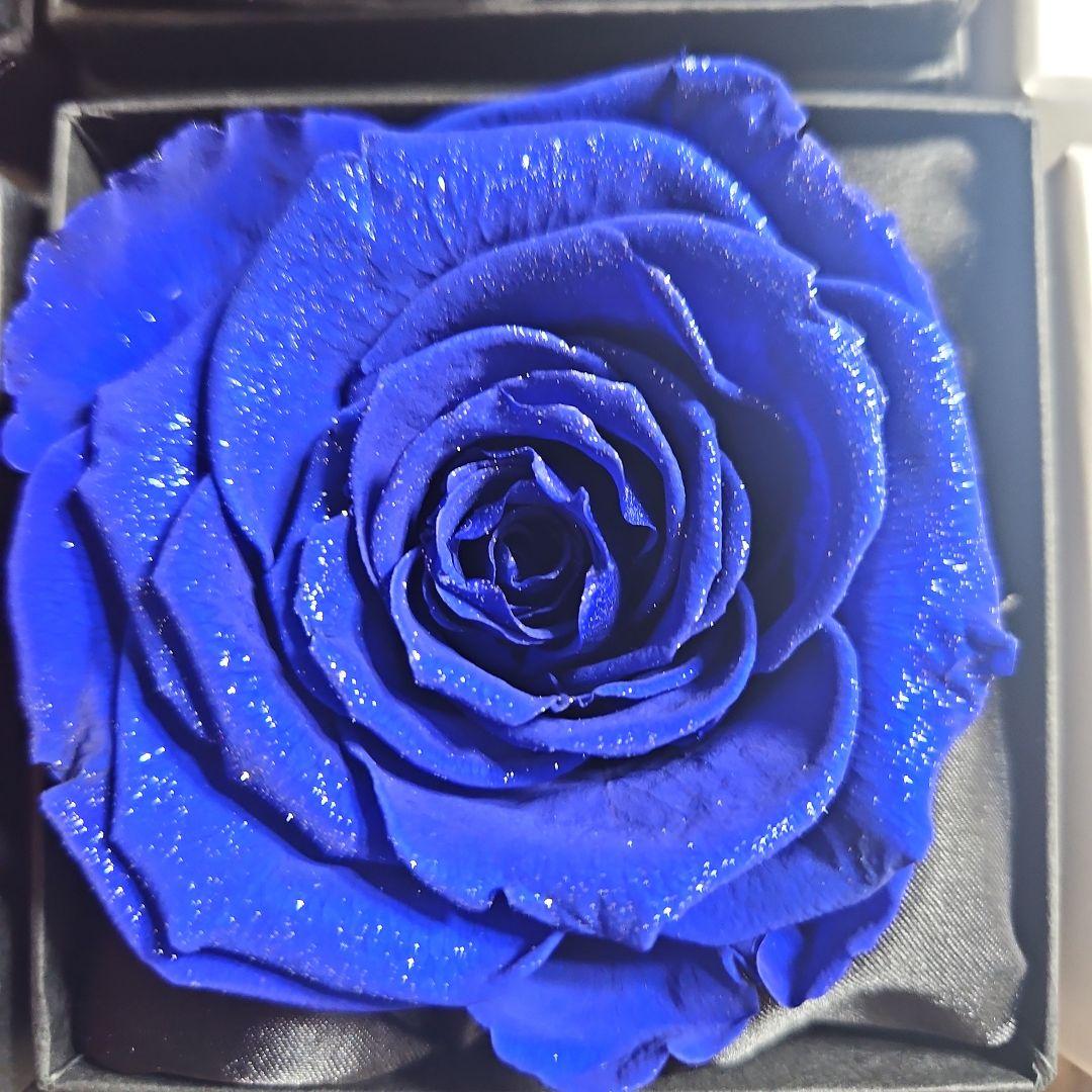 MAKE FUTURE プリザーブドフラワー