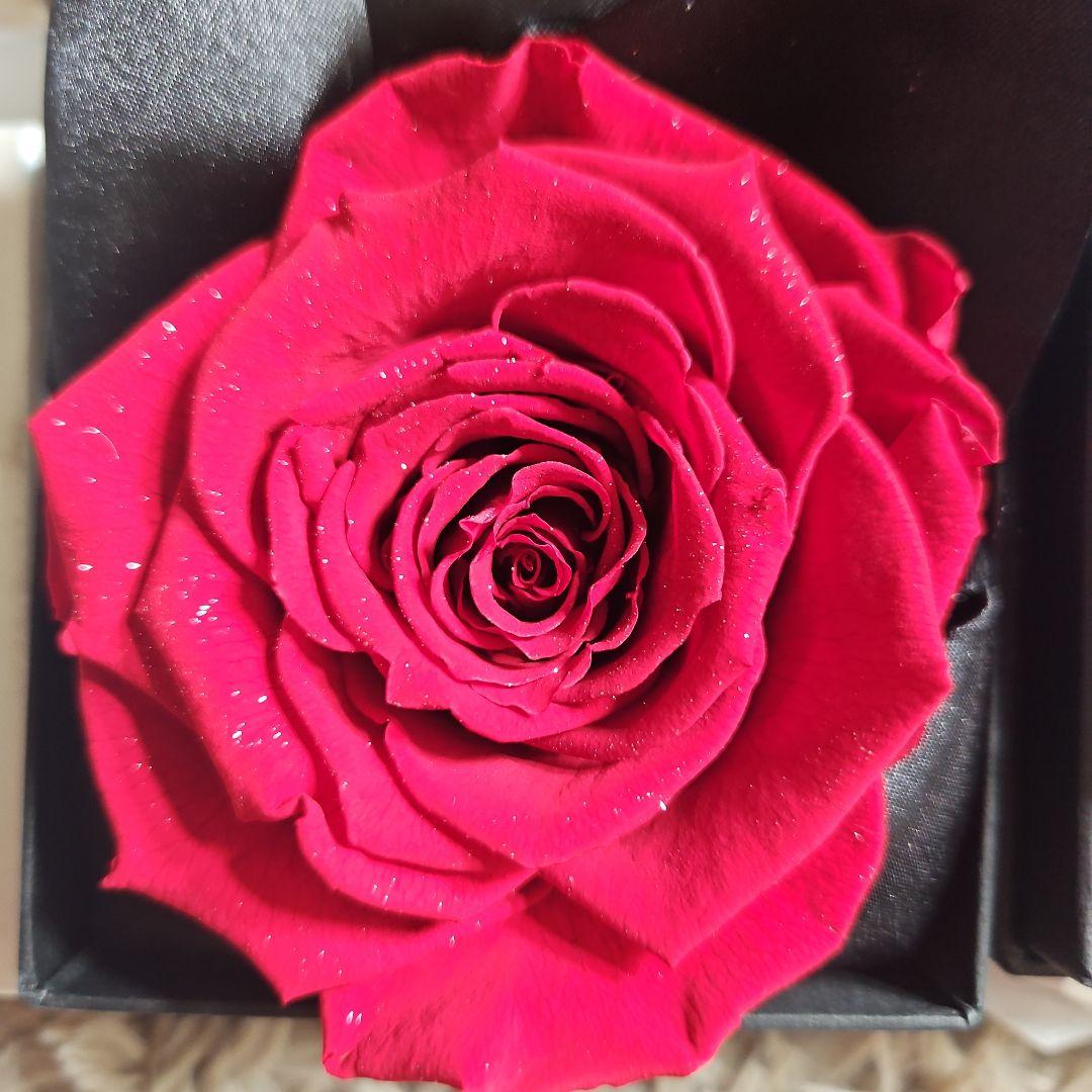 MAKE FUTURE プリザーブドフラワー