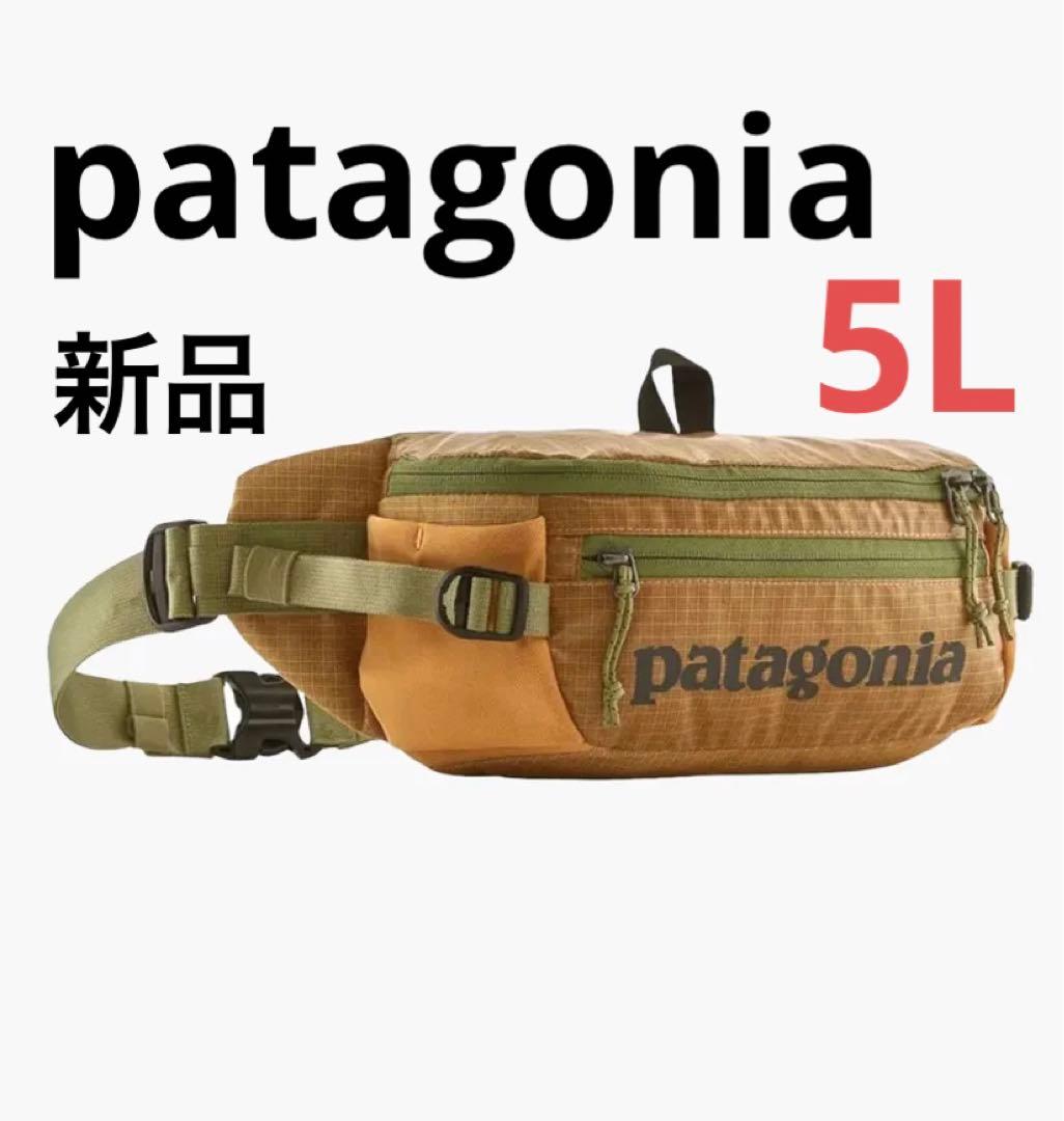 人気完売色❗️新品タグ付き‼️パタゴニア ブラックホール・ウエスト・パック⭐️5L⭐