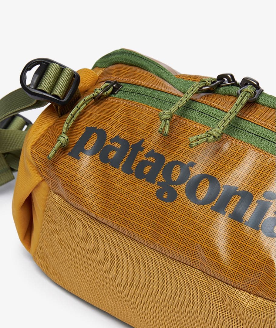 人気完売色❗️新品タグ付き‼️パタゴニア ブラックホール・ウエスト・パック⭐️5L⭐