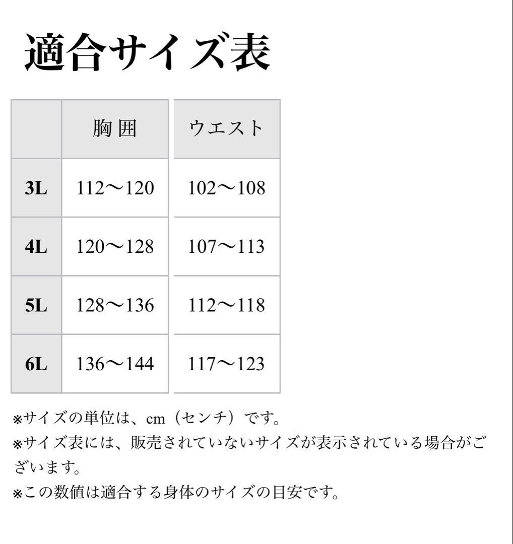 ミズノ 2025年プレスサーモ感セット 大きいサイズ グレー