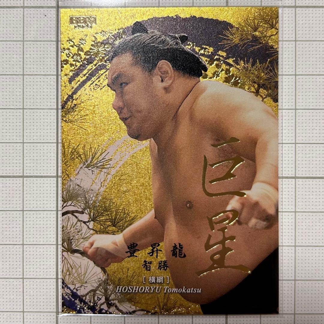 BBM 2026 大相撲カード インサート 巨星 豊昇龍 智勝 50枚限定 - メルカリ