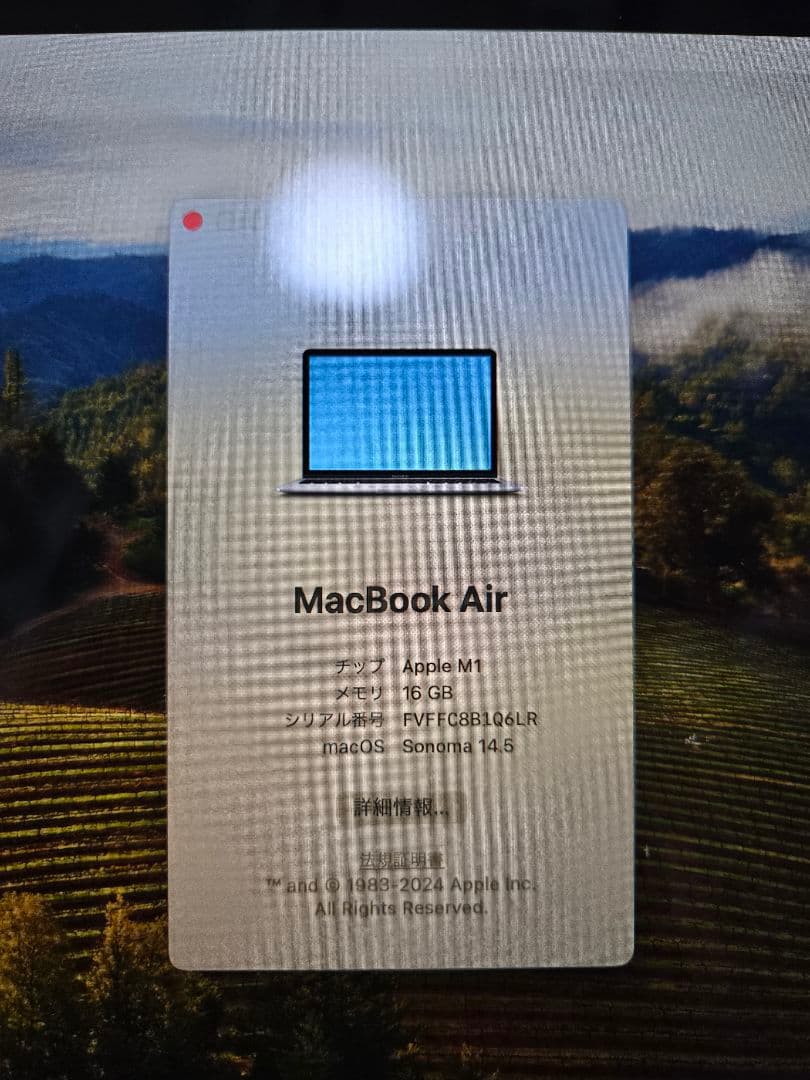 MacBook本体 Apple MacBook Air 2020 (M1, 16GB)