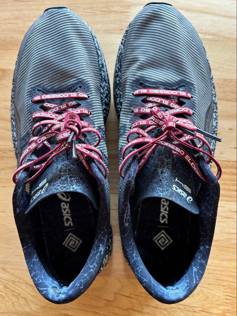 h*s様 ✰ASICS × ELDORESO✰限定モデル S4 27cm エルド