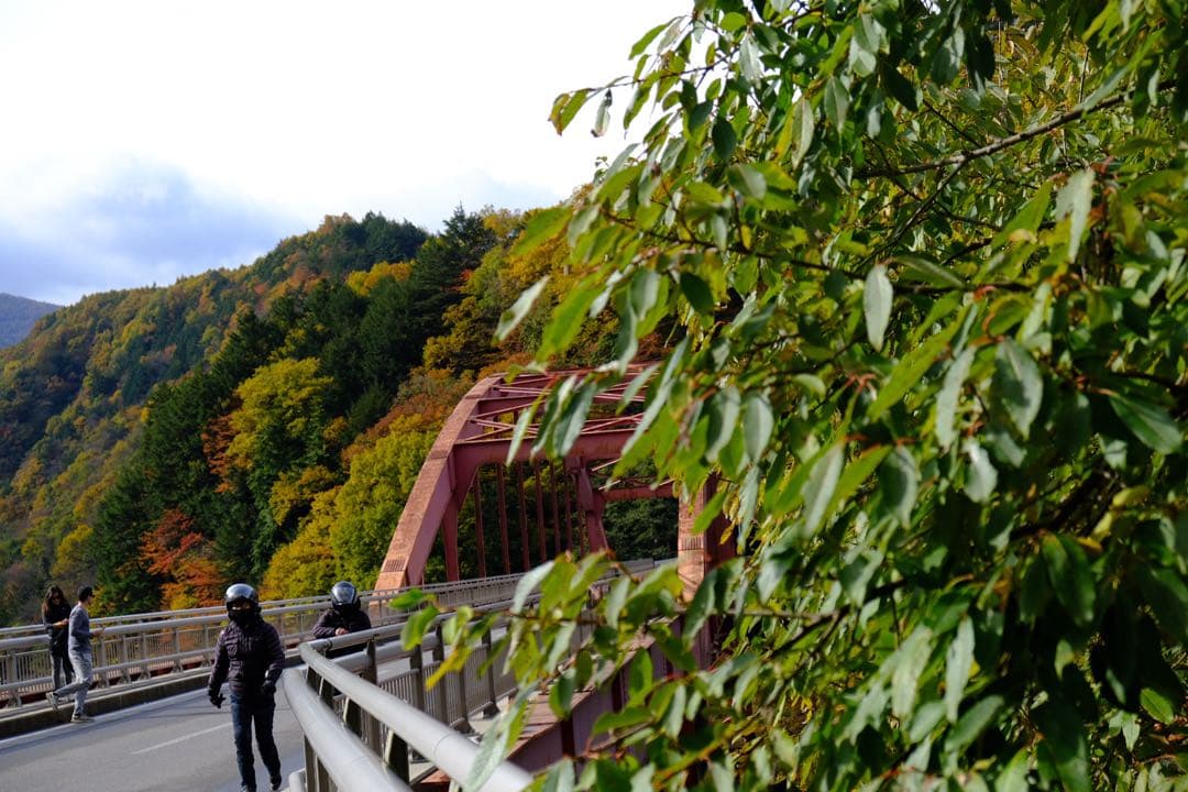 Fujifilm x-t30 カメラ　一眼レフ