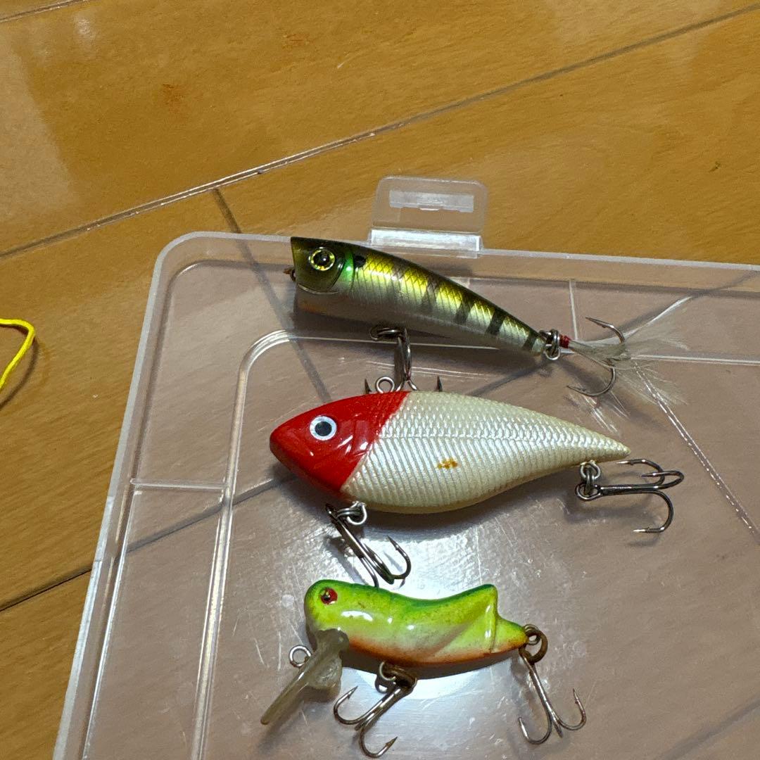 ルアーセット ミノー・プラグ 収納ケース付き - メルカリ