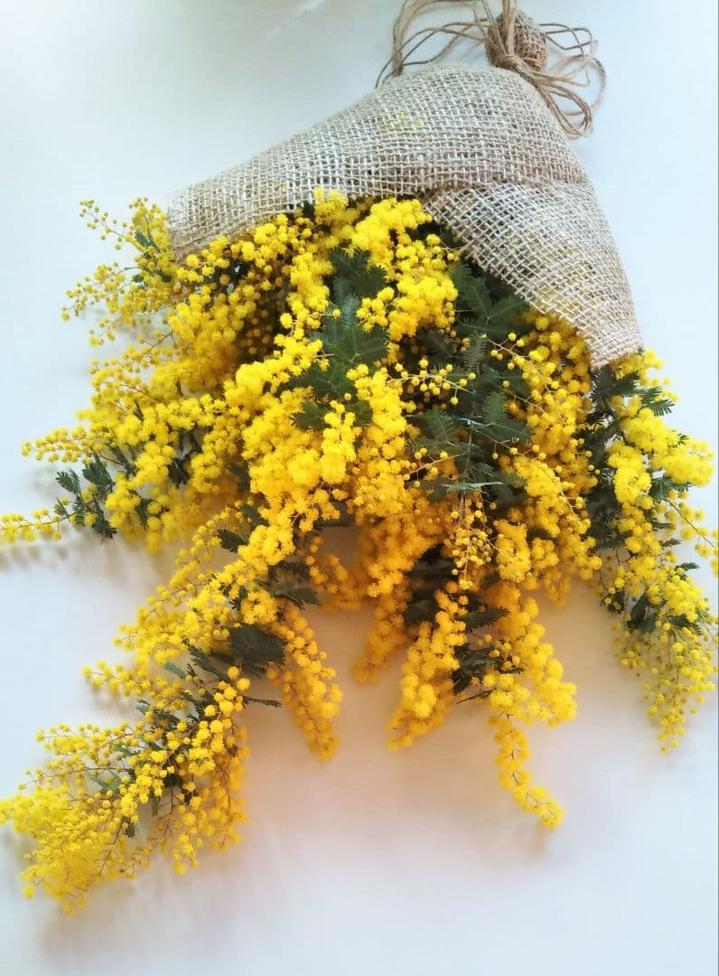 lilyyyy3ページ＊　☘ミモザフレッシュスワッグ・リース☘　②・③