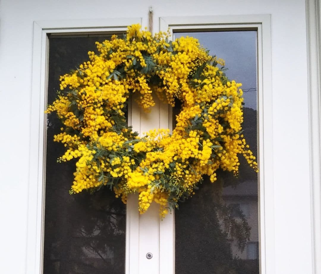 lilyyyy3ページ＊　☘ミモザフレッシュスワッグ・リース☘　②・③