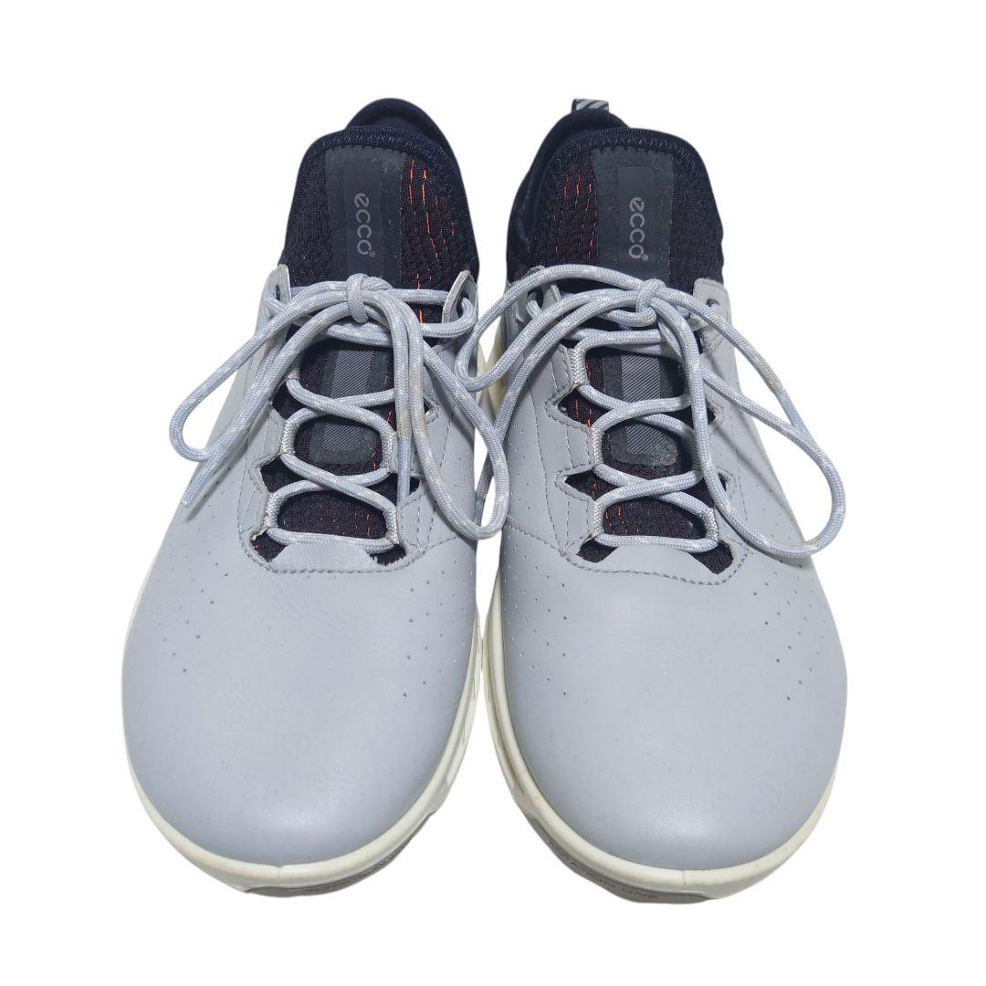ECCO BIOM C4 ゴアテックス ゴルフシューズ グレー 39