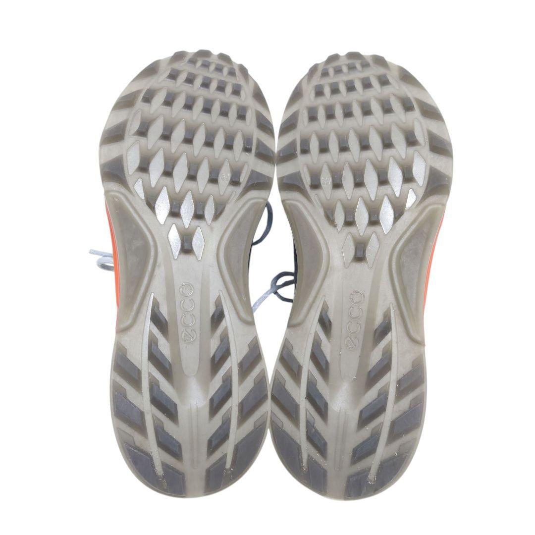ECCO BIOM C4 ゴアテックス ゴルフシューズ グレー 39