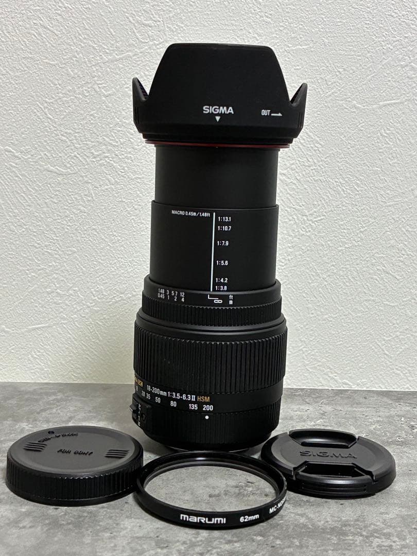 ⭐️美品⭐️SIGMA 18-200mm 3.5-6.3 II HSM ソニー用