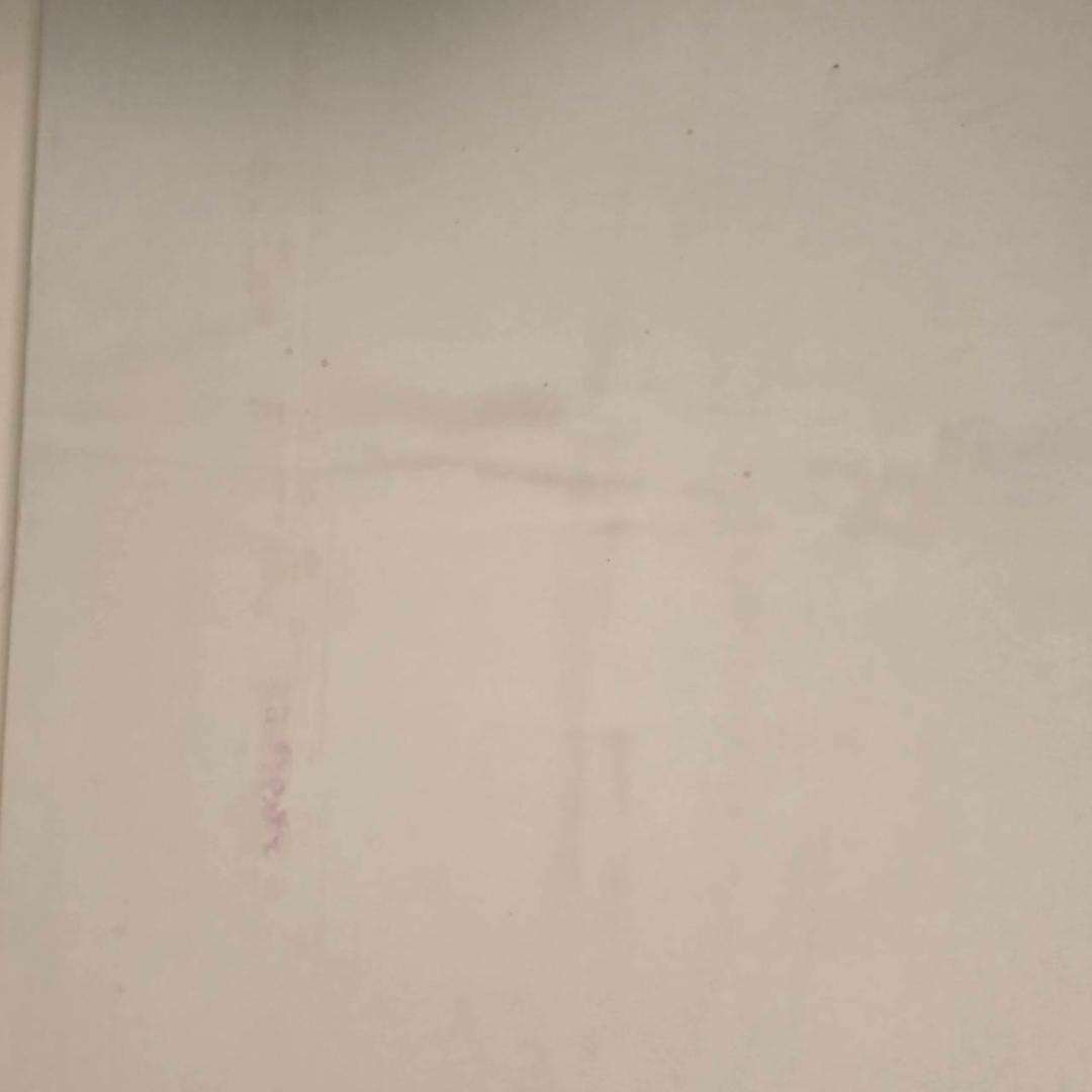 最終値下げ　藤城清治　馬が飛ぶ　ダイヤモンドクスリーン　直筆サイン　保証