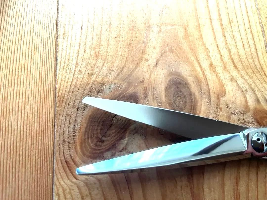 トギノン スパーブⅡ 6.5