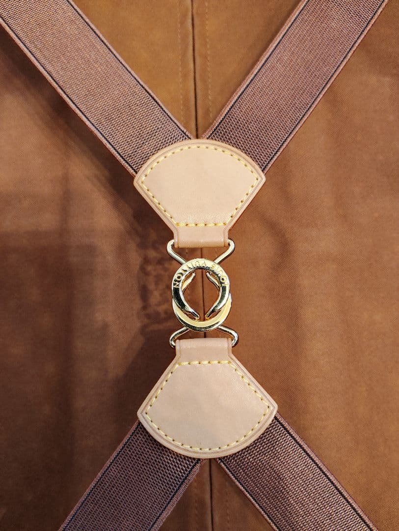 Louis Vuitton ペガス55 機内OK 美品☆