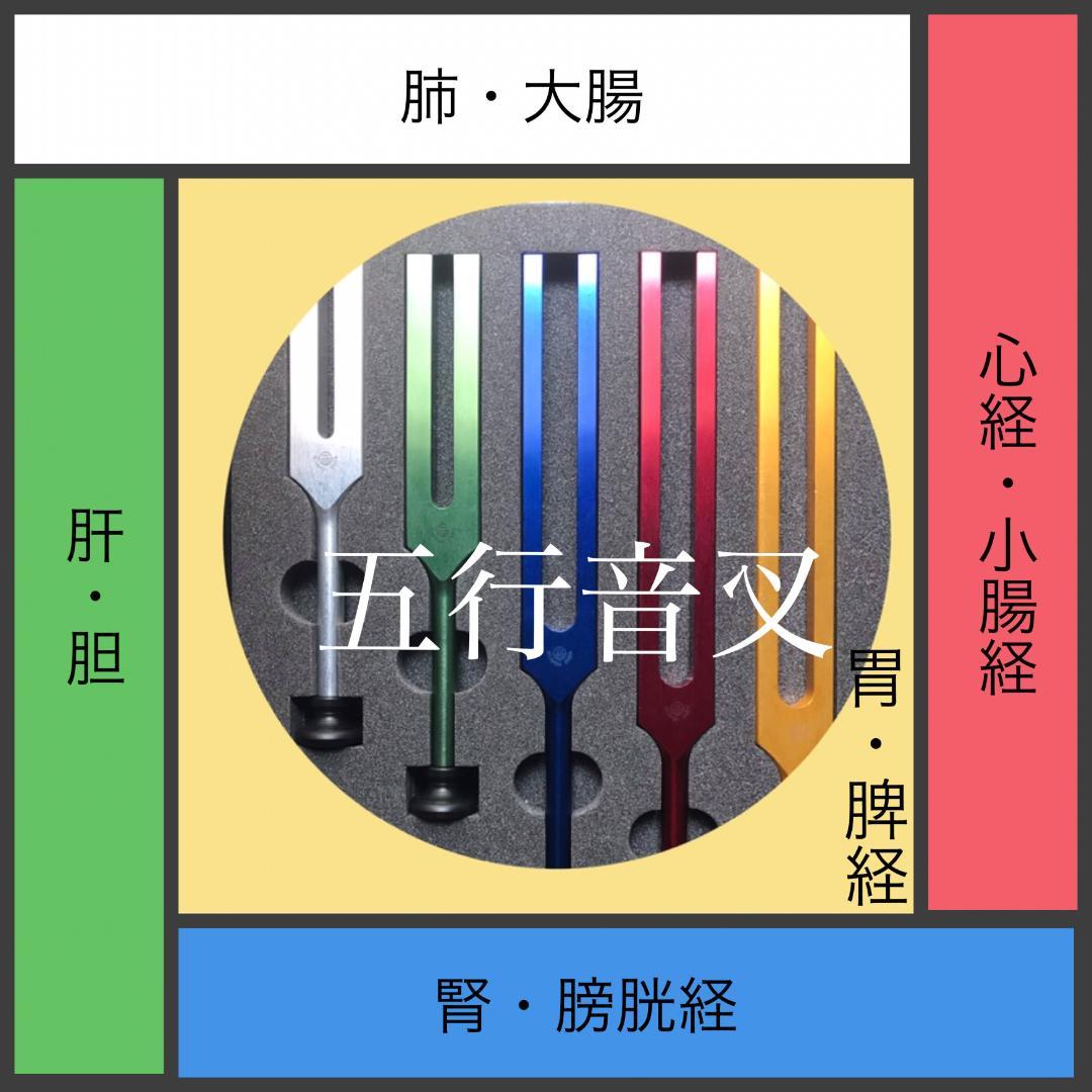 音叉 ニチオン 五行音叉 ブレインアップデート テキスト付 国産 新品未